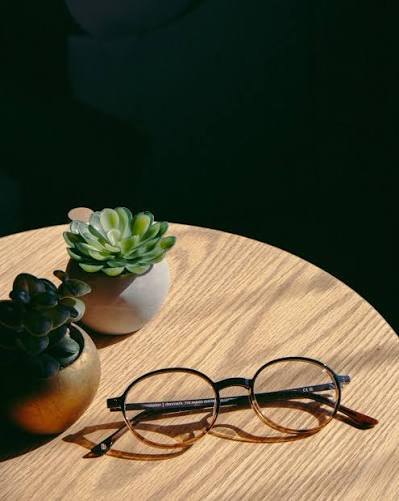 Lunettes Prodesign rondes à monture écaille, posées sur une table en bois, près de plantes grasses.